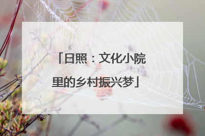 日照:文化小院里的乡村振兴梦