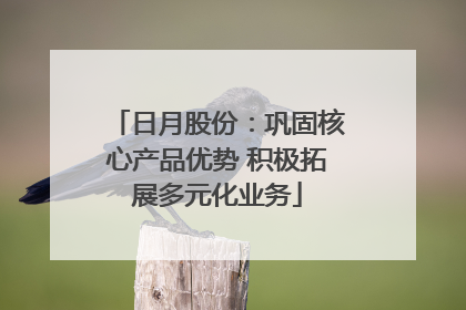 日月股份：巩固核心产品优势 积极拓展多元化业务