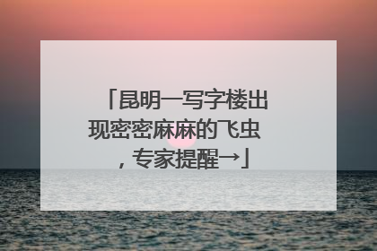 昆明一写字楼出现密密麻麻的飞虫，专家提醒→