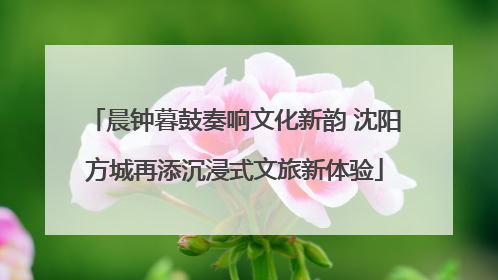 晨钟暮鼓奏响文化新韵 沈阳方城再添沉浸式文旅新体验