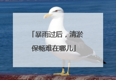 暴雨过后，清淤保畅难在哪儿