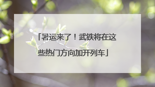 暑运来了！武铁将在这些热门方向加开列车