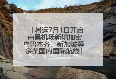 暑运7月1日开启 南昌机场新增加密乌鲁木齐、新加坡等多条国内国际航线