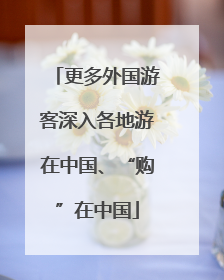 更多外国游客深入各地游在中国、“购”在中国