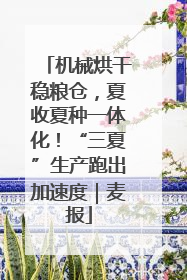 机械烘干稳粮仓，夏收夏种一体化！“三夏”生产跑出加速度｜麦报