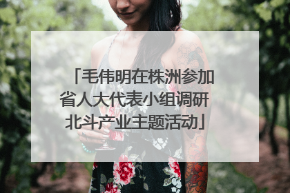 毛伟明在株洲参加省人大代表小组调研北斗产业主题活动