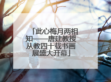 此心梅月两相知——唐建教授从教四十载书画展盛大开幕