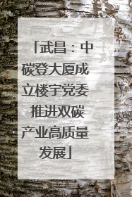 武昌：中碳登大厦成立楼宇党委 推进双碳产业高质量发展