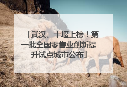 武汉、十堰上榜！第一批全国零售业创新提升试点城市公布