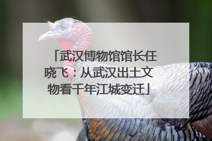 武汉博物馆馆长任晓飞：从武汉出土文物看千年江城变迁