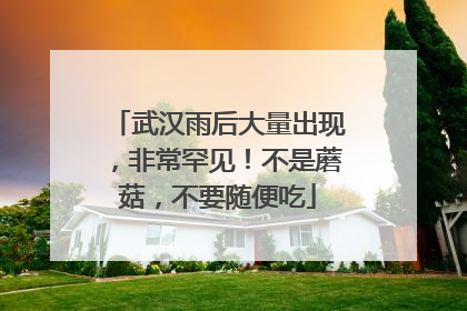 武汉雨后大量出现，非常罕见！不是蘑菇，不要随便吃