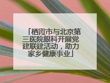 栖霞市与北京第三医院眼科开展党建联建活动，助力家乡健康事业