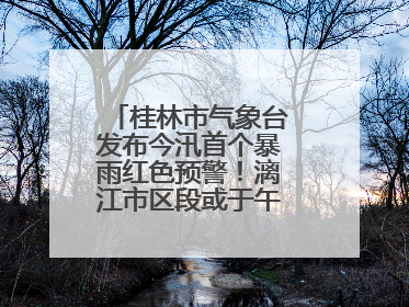 桂林市气象台发布今汛首个暴雨红色预警！漓江市区段或于午后迎来洪峰