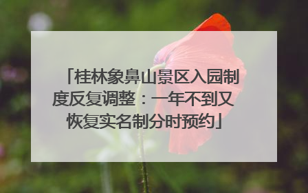 桂林象鼻山景区入园制度反复调整：一年不到又恢复实名制分时预约