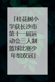 桂花树小学获长沙市第十一届运动会三人制篮球比赛少年组双冠