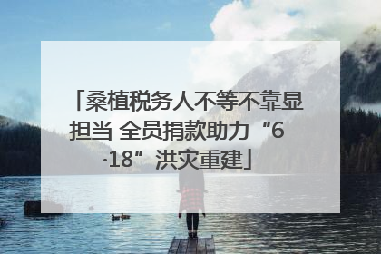 桑植税务人不等不靠显担当 全员捐款助力“6·18”洪灾重建