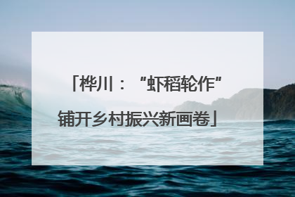 桦川：“虾稻轮作”铺开乡村振兴新画卷