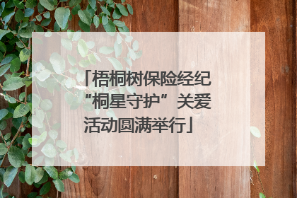 梧桐树保险经纪“桐星守护”关爱活动圆满举行