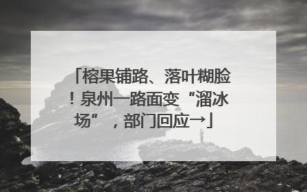 榕果铺路、落叶糊脸！泉州一路面变“溜冰场”，部门回应→