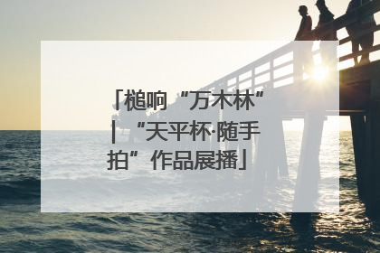 槌响“万木林”｜“天平杯·随手拍”作品展播