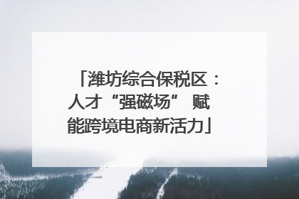 潍坊综合保税区：人才“强磁场” 赋能跨境电商新活力