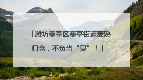 潍坊寒亭区寒亭街道麦熟归仓，不负当“夏”！