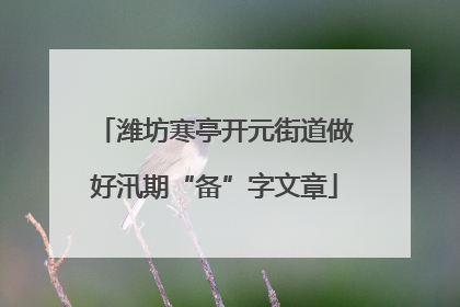 潍坊寒亭开元街道做好汛期“备”字文章