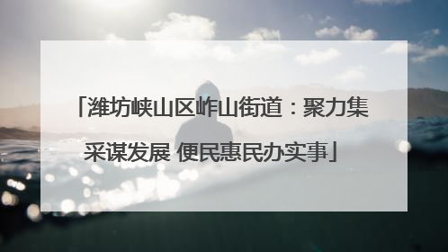 潍坊峡山区岞山街道：聚力集采谋发展 便民惠民办实事