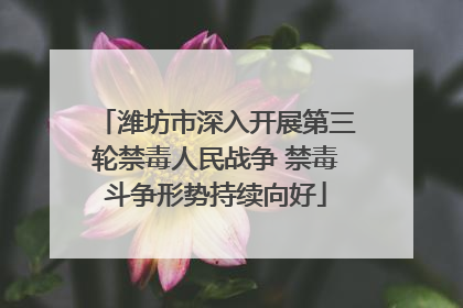 潍坊市深入开展第三轮禁毒人民战争 禁毒斗争形势持续向好
