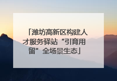 潍坊高新区构建人才服务驿站“引育用留”全场景生态
