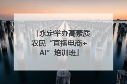 永定举办高素质农民“直播电商+AI”培训班