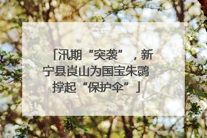 汛期“突袭”，新宁县崀山为国宝朱鹮撑起“保护伞”