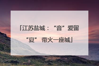 江苏盐城：“音”爱留“夏” 带火一座城