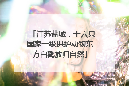 江苏盐城：十六只国家一级保护动物东方白鹳放归自然