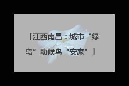 江西南昌：城市“绿岛”助候鸟“安家”