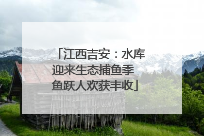 江西吉安：水库迎来生态捕鱼季 鱼跃人欢获丰收