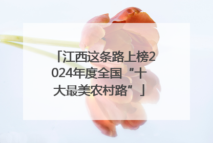 江西这条路上榜2024年度全国“十大最美农村路”