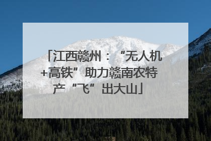 江西赣州：“无人机+高铁”助力赣南农特产“飞”出大山