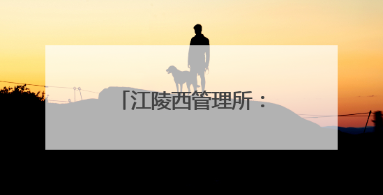 江陵西管理所：高速驿站暖如家 绿波葵花助梦飞