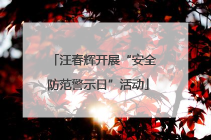 汪春辉开展“安全防范警示日”活动