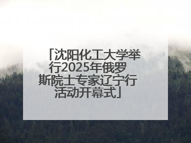 沈阳化工大学举行2025年俄罗斯院士专家辽宁行活动开幕式