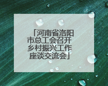 河南省洛阳市总工会召开乡村振兴工作座谈交流会
