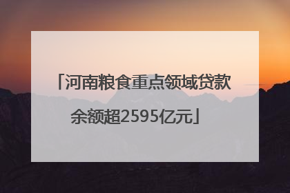 河南粮食重点领域贷款余额超2595亿元