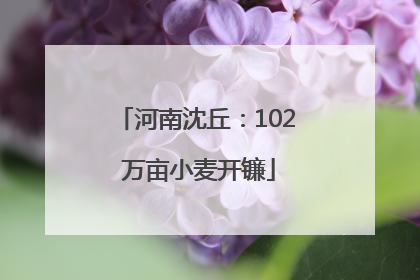 河南沈丘：102 万亩小麦开镰
