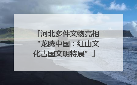河北多件文物亮相“龙腾中国：红山文化古国文明特展”
