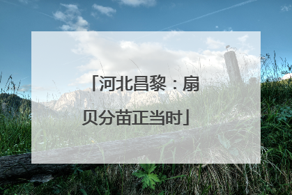 河北昌黎：扇贝分苗正当时