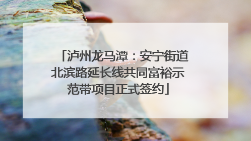 泸州龙马潭：安宁街道北滨路延长线共同富裕示范带项目正式签约