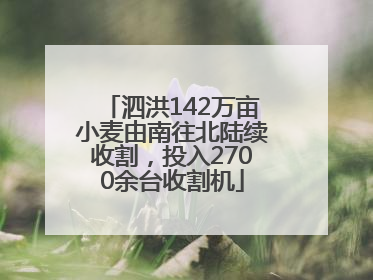 泗洪142万亩小麦由南往北陆续收割，投入2700余台收割机