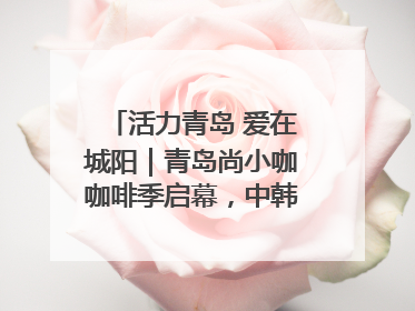 活力青岛 爱在城阳｜青岛尚小咖咖啡季启幕，中韩消费新场景点燃夏日热情