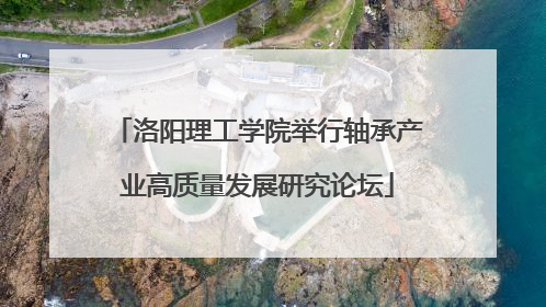洛阳理工学院举行轴承产业高质量发展研究论坛